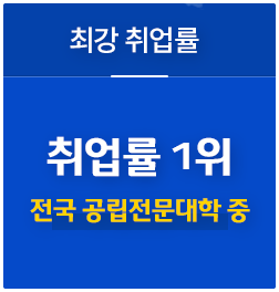 최강 취업률