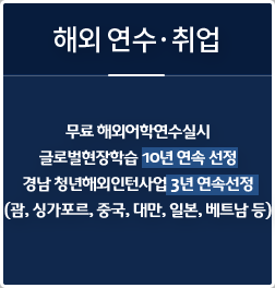 해외 연수, 취업